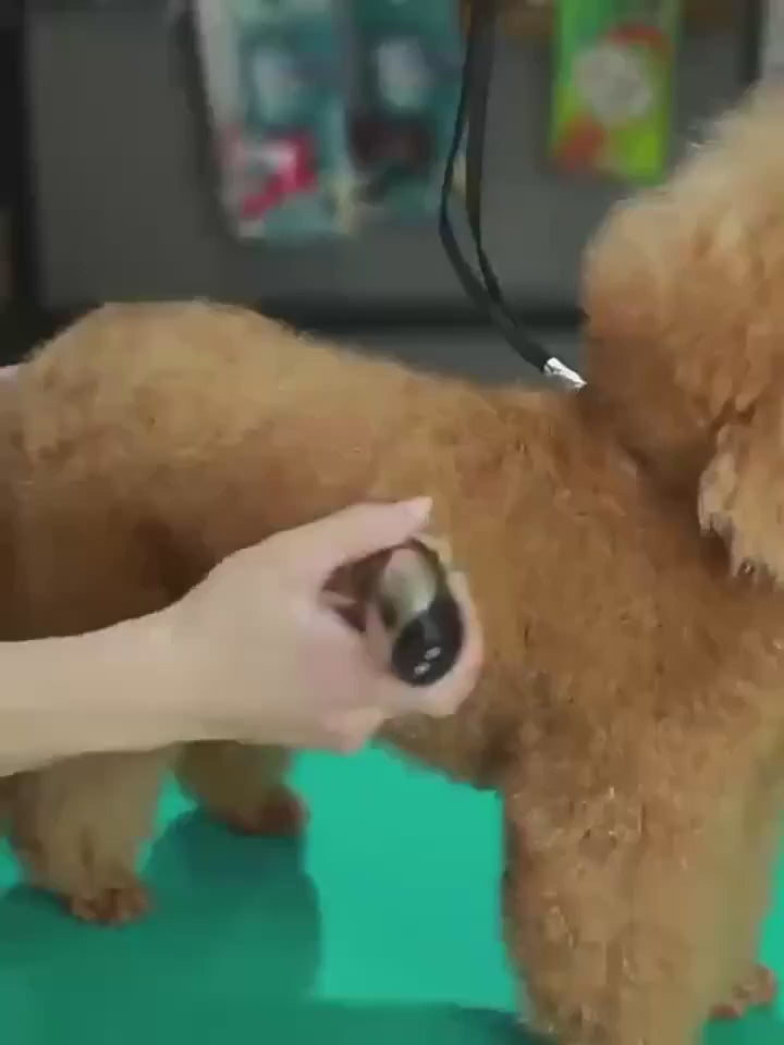Pet Shaver for Dogs and Cats, Large Multifunctional Electric Hair Clipper, Electric Hair Clipper