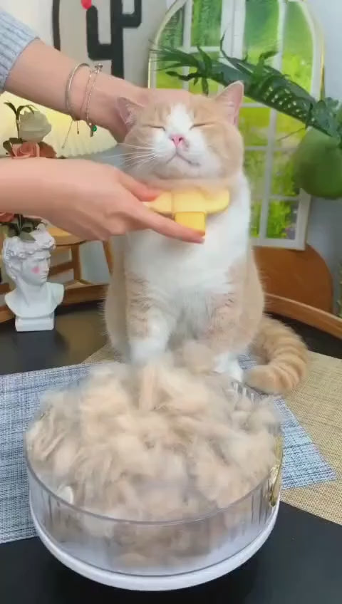 Pet Comb, Cat Comb, Detangling Comb, Remove Loose Hair, Cleaning Pet Supplies, Row Comb, Needle Comb, Flea Comb For Cats And Dogs