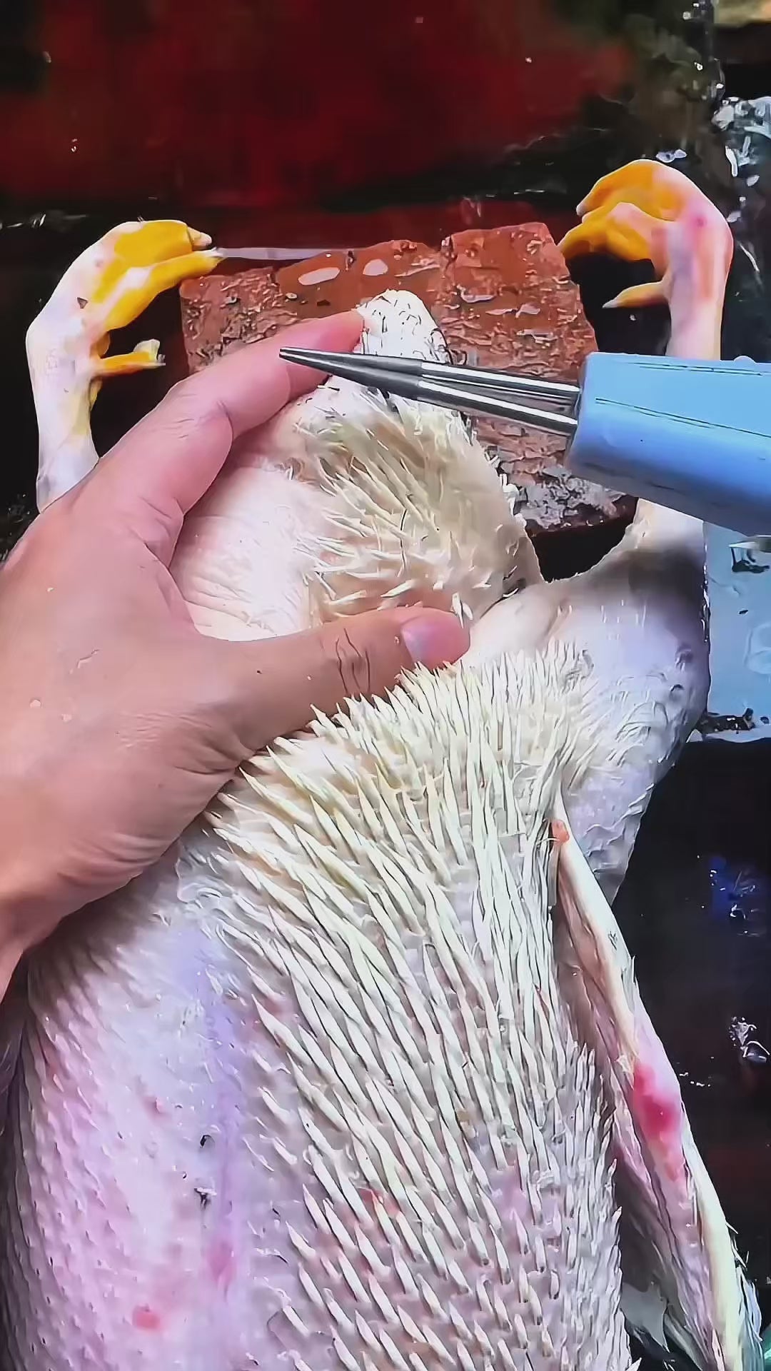 Rechargeable Electric Automatic Poultry Tweezers For Plucking Chicken, Duck, Goose